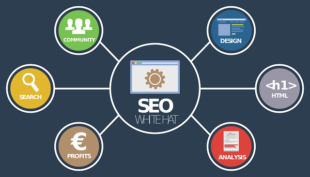 seo company in uae